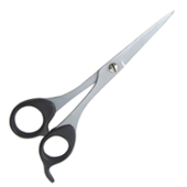 Plastic Handle Scissors
